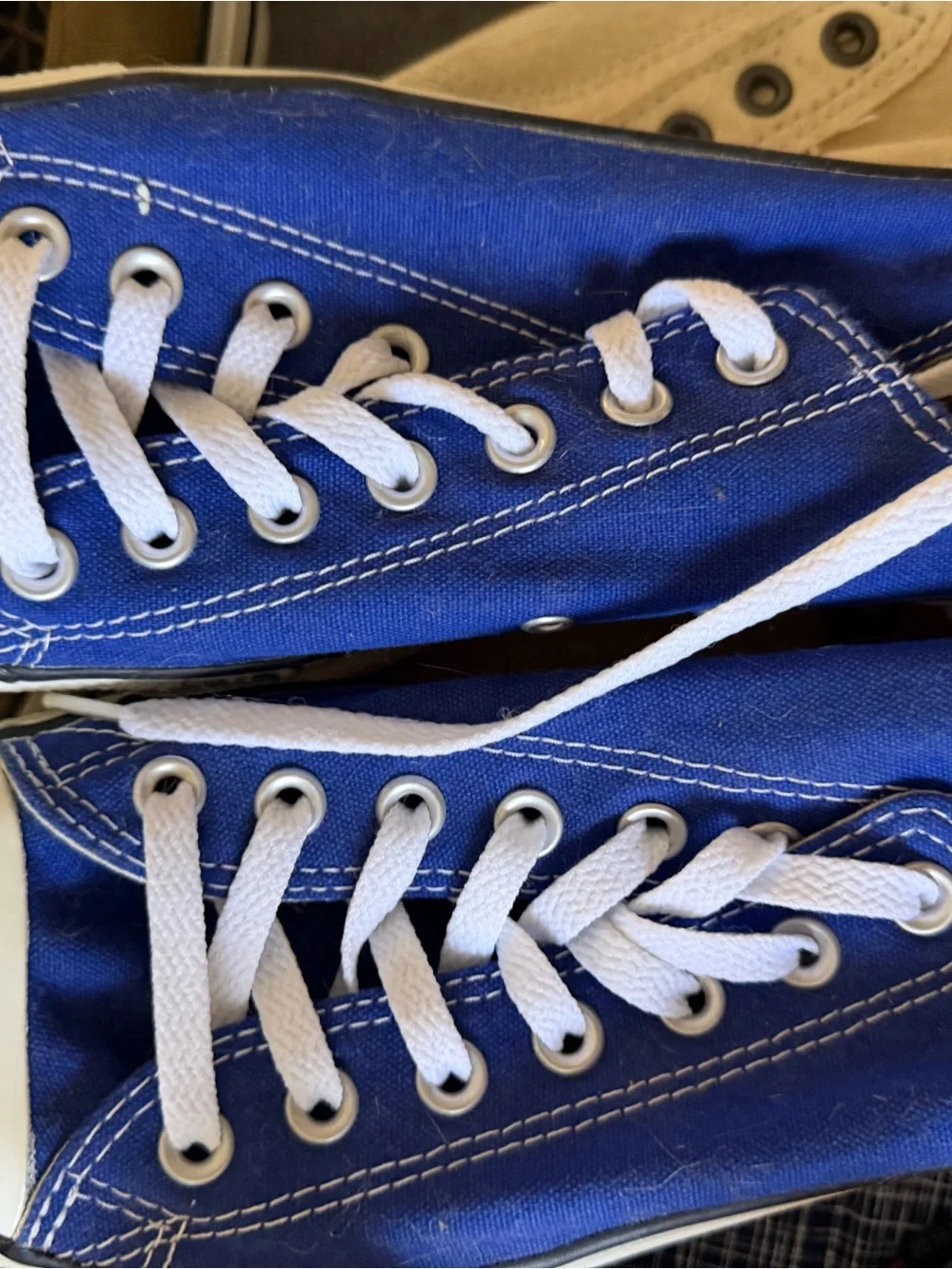 Classic lo-Top Canvas Sneakers in Royal Blue with White Laces - Picture 1 of 6